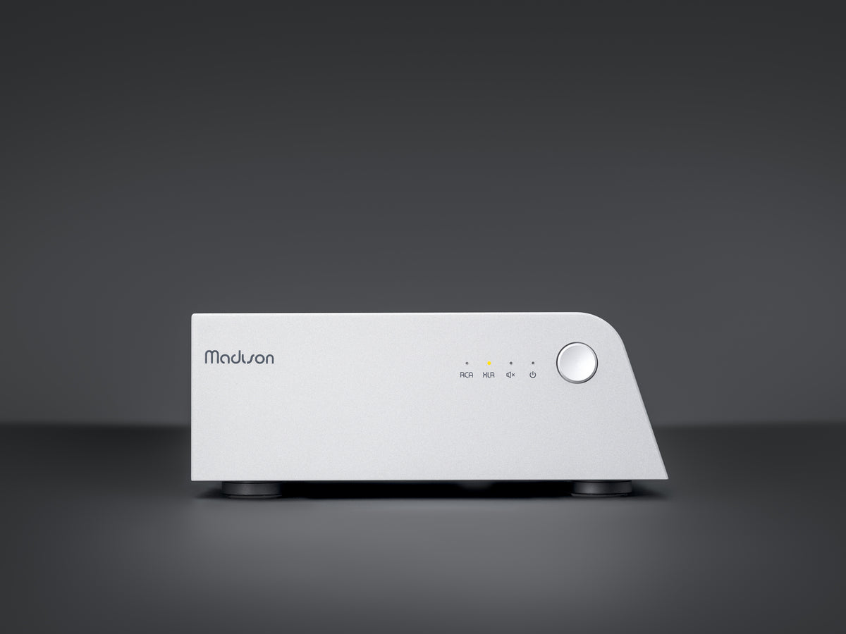 Wattson Audio Madison Amplifier in light grey, straight rear view of the connections