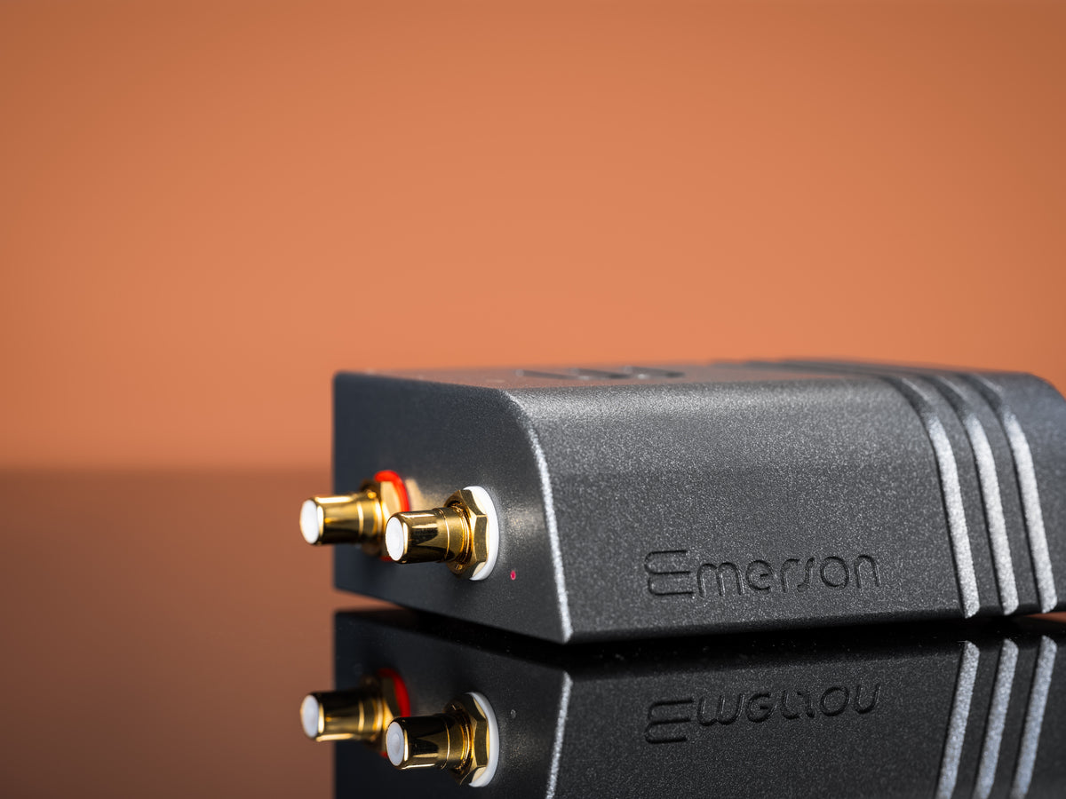 Wattson Audio Emerson ANALOG in dark grey, close-up of the RCA outputs