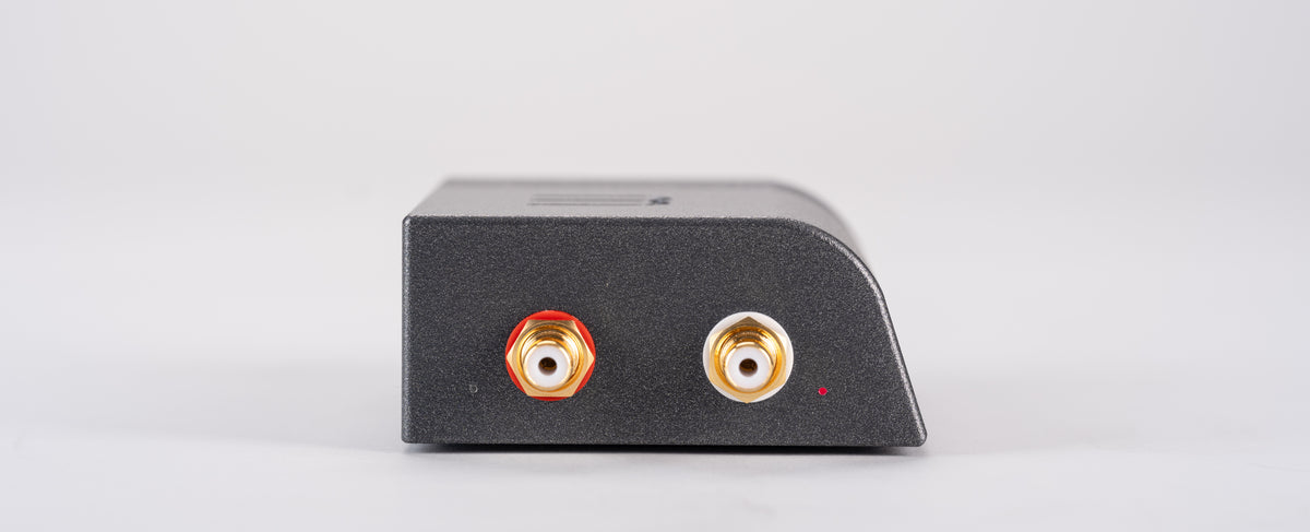 Wattson Audio Emerson ANALOG in dark grey, straight rear view of the RCA outputs