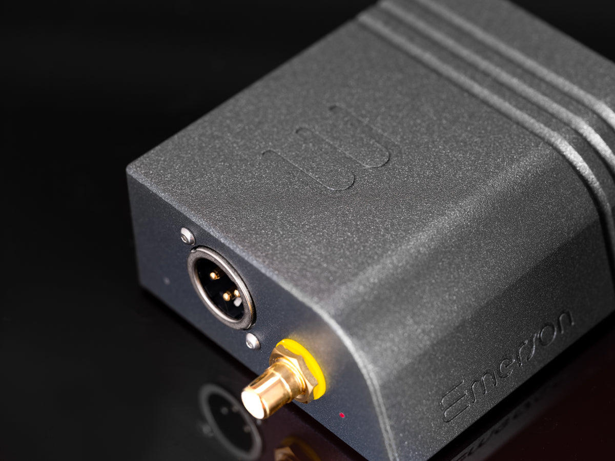 Wattson Audio Emerson DIGITAL in dark grey, three-quarter view of the digital outputs